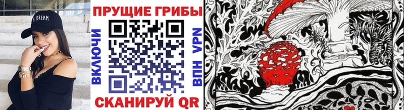 Галлюциногенные грибы MAGIC MUSHROOMS  Купить  Абинск 